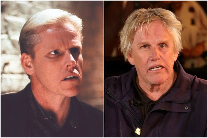 Gary Busey avant/après