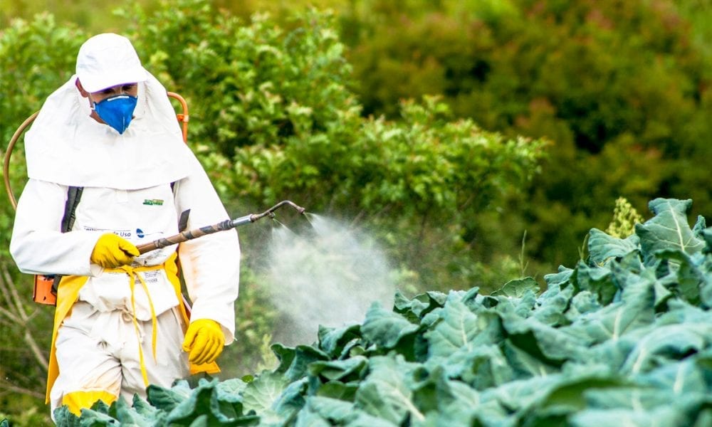 what is food pesticides